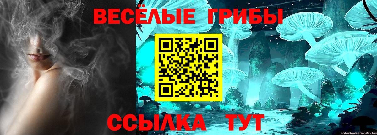 Томск  Псилоцибиновые грибы ЛСД  Вход с VPN 